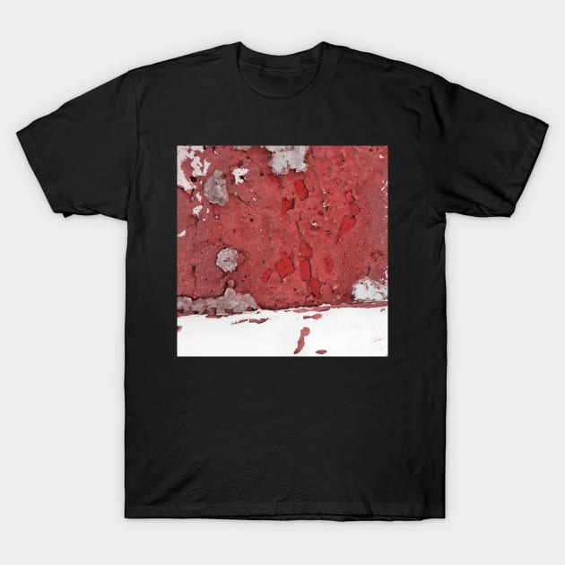 Snow White & Brick Red T-Shirt by WesternExposure